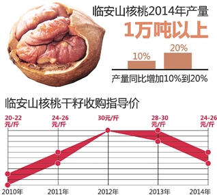 临安山核桃开竿了 多收了三五斗便宜了四五块钱