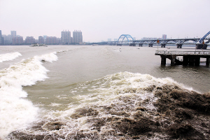 都说八月十八潮水大 今天的钱江潮会是五年来最大的吗？