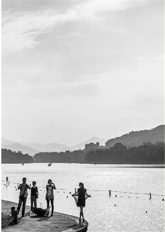 一夜间，满城桂花香气馥郁