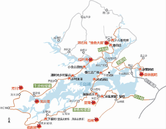 千岛湖红叶到了最佳观赏期 最新最细红叶骑行地图送给你