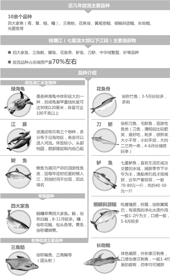 202种钱塘江土著鱼，今安在