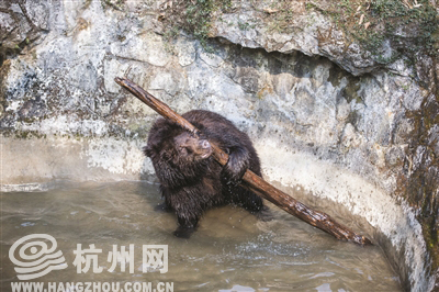 周末春天一样温暖的阳光 下周几乎都是阴雨天