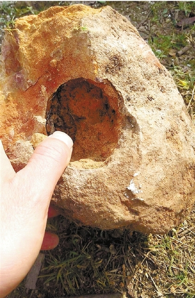 一敲就碎 梅家坞茶山上奇怪的石头是恐龙蛋么？