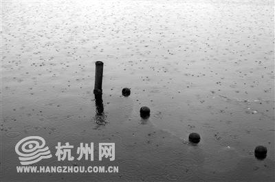 雨水在西湖上点开了涟漪