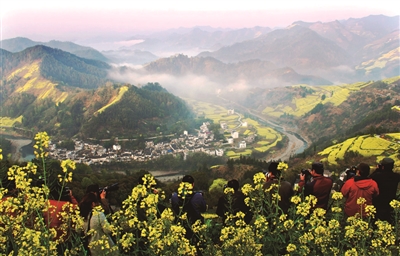 安徽石潭油菜花