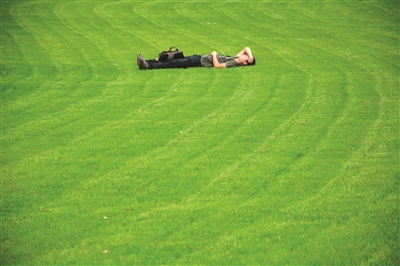 一个男人在草坪上午睡，不过，西湖边许多草坪是观赏性的，请勿踏入哦。 