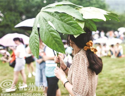 拿着叶子当雨伞 摄影 记者 陈荣辉