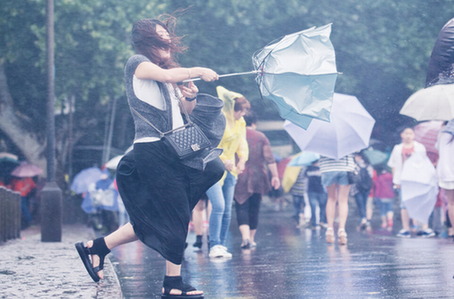 11日，受台风“灿鸿”影响，杭州大风大雨。断桥上的游客艰难前行。