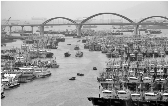 上万艘渔船在舟山沈家门中心渔港避风。