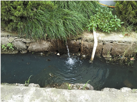 水岸不同治，怎能现清流