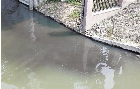 杭州西湖区西环河污染反弹 生态示范河怎么又臭了