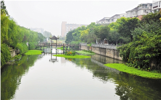 41条黑臭河道年底前摘帽 270剂“药方”专治积水排涝