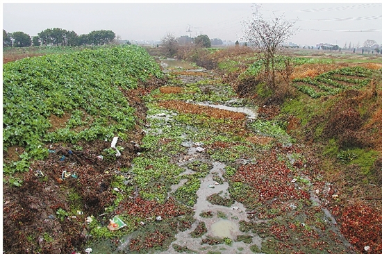 跨区域河道怎么治——跳出藩篱 联动治水