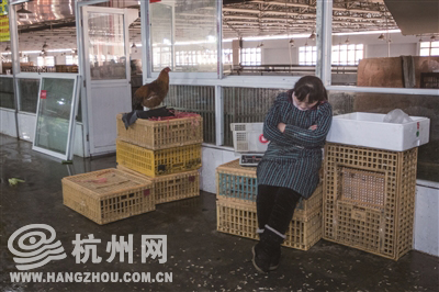 浙江新发4例人感染H7N9禽流感病例