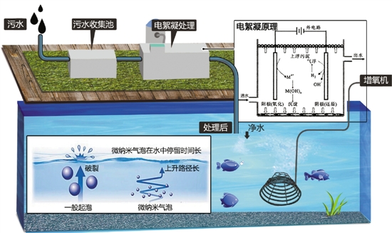 改善水质城西这三条河，自己就能呼吸