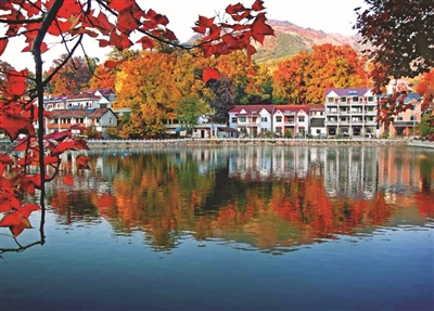 临安竟有这样的“红叶指南小镇” 美得像油画