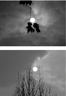 冷空气救场，元旦期间杭州空气质量应该不赖