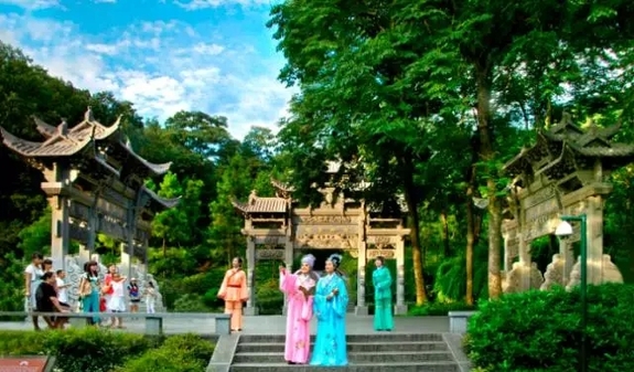 万松书缘 万松书缘