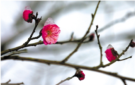 春节杭州天气怎么样？晴好