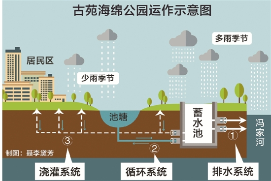 能吸能排能浇灌 杭州开建首个海绵公园