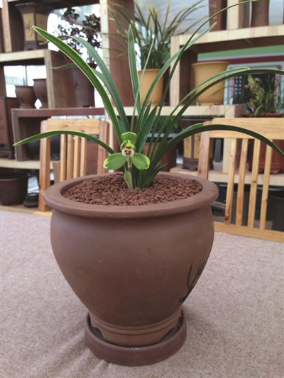 本周末和平会展中心鲜花开大会