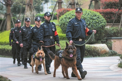 万家星城的特勤队员带着两只警犬在小区里巡逻 万家星城的特勤队员带着两只警犬在小区里巡逻