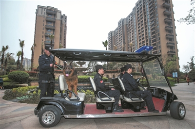 特勤队员带着警犬巡逻