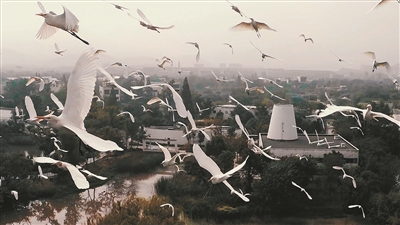 五年拍了九万张照片 这对情侣把美丽杭州 浓缩成8分钟的映像诗 五年拍了九万张照片 这对情侣把美丽杭州 浓缩成8分钟的映像诗