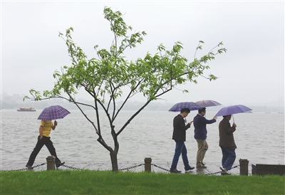 阵雨还要下三天 周四起有三天好天气
