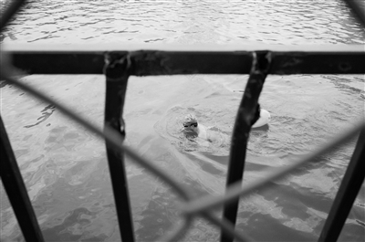 贴沙河内游泳 2名涉嫌妨碍执行公务游泳者被当场带走