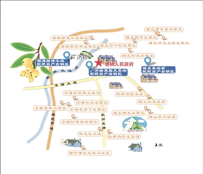 5月的“土豪”水果到了最好吃的时候 塘栖枇杷节昨天开幕