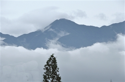 未来7天 天天有雨 准备好和潮湿天气打持久战吧