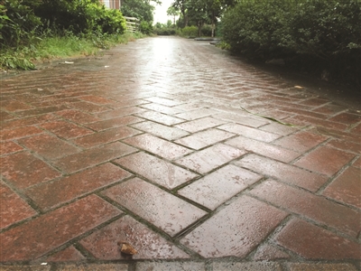梅雨季小区红砖马路再成“溜冰场” 杭州两小区物业试点换地砖