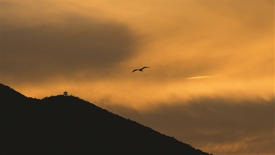 皋亭山的晚霞与飞鸟 记者 朱丹阳 摄