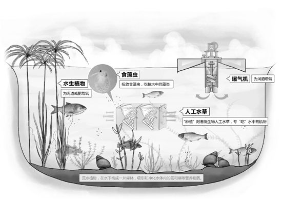 家门口的河道变清了 原来杭州用了这三招