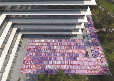 杭州终于出太阳了！4个姑娘一口气晒了3000条被子