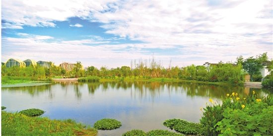 滨江：智慧治水新思路 城市管理新理念