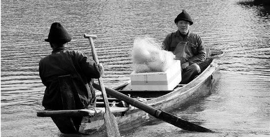 1月14日，杭州西湖渔亭的渔老大准备撒网捕鱼。