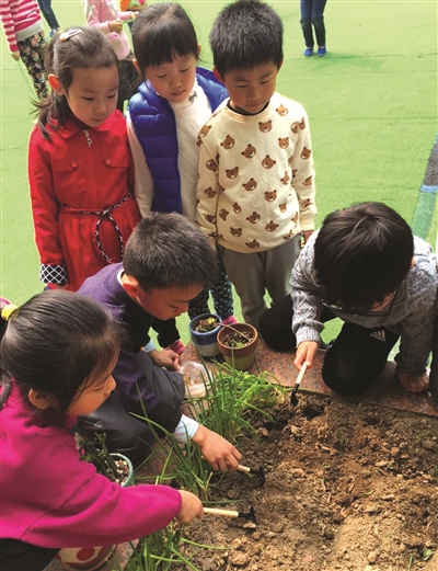 浙江大学幼儿园玉泉分园大班的孩子们，在校园的一角种下各种植物，期待着它们茁壮成长。
