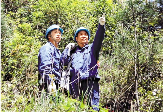 4月30日，龙泉龙南供电服务站供电工人正在巡线。