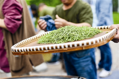 49位炒茶高手 献上一场活色生香的炒茶大赛