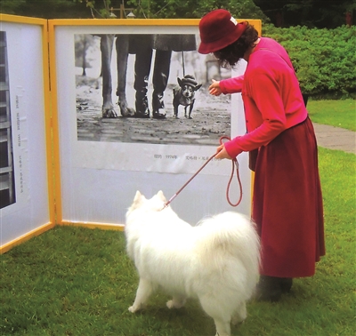 一位市民带着自己的宠物犬，观看摄影大师艾略特·厄威特的作品。