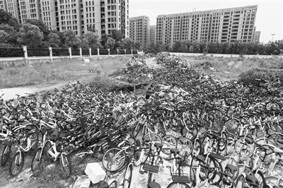 春和钱塘小区旁的一块空地上，堆满了共享单车。