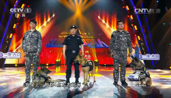 杭州警犬解救“人质” 昨晚上了央视！