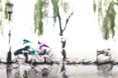 昨早，西湖边雨中骑行的人。