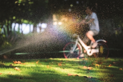 大暑日，一辆共享单车骑过一块正在喷水的草坪。 