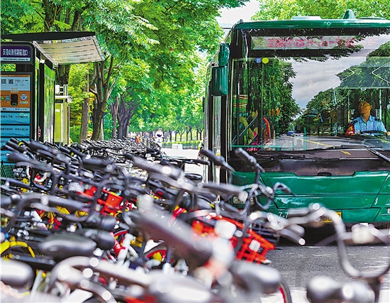 杭州天目山路一公交站台被密密麻麻的共享单车霸占。 记者 张孙超 阮西内 摄