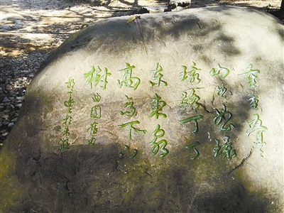 日晒雨淋无颜色 杭州给石碑刻字做“美容”