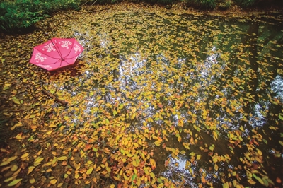 台风“卡努”影响杭州 萧山、大江东预计风大雨大
