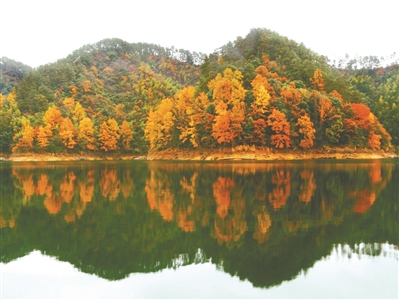 千岛湖进入最美季 秋冬版游玩攻略抢鲜上线！